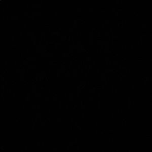 Meet your Posher, Lily